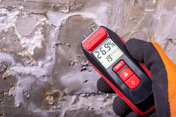 Best Certified Mold Removal  in New Rochelle, NY