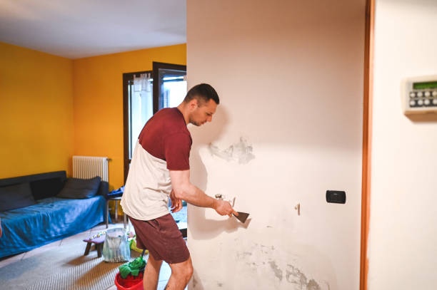 Best Local Mold Removal Service  in New Rochelle, NY